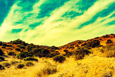 Scenic view of landscape against sky