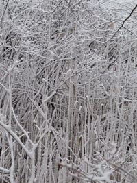 Full frame shot of snow covered land