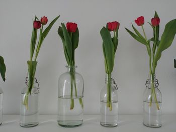 Close-up of flower vase on table