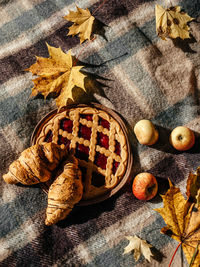 Autumn picnic