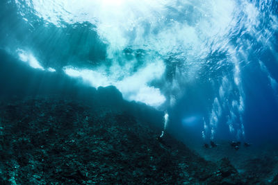 People swimming in sea