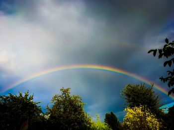 Rainbow over trees against sky