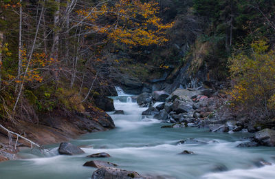 Scenic view of waterfall in forest