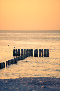 Wooden posts in sea against sky during sunset