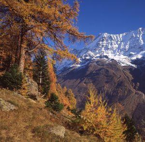 Low angle view of snowcapped mountain