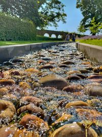 Surface level of water flowing in container