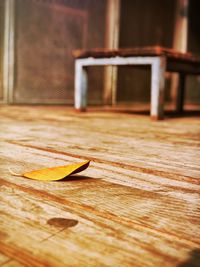 Close-up of leaf on hardwood floor