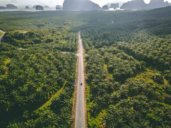 Scenic view of agricultural field