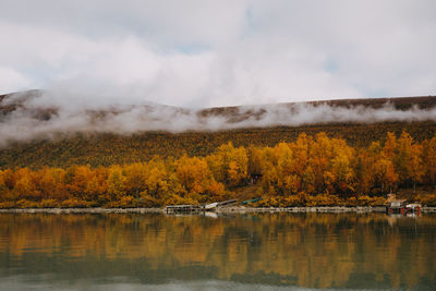 Scenic view of lake by trees during autumn