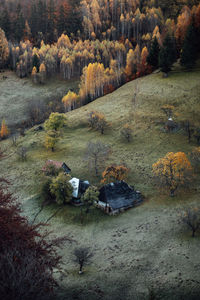 View of ducks on field during autumn