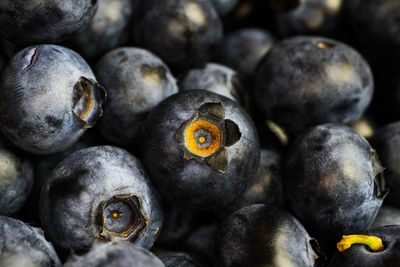 Full frame shot of blueberries