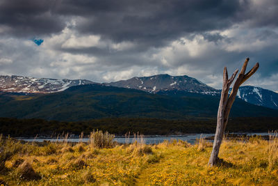 Scenic view of landscape against sky