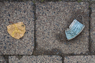 High angle view of dry leaf on footpath