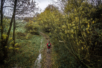 High angle view of man standing in forest during autumn