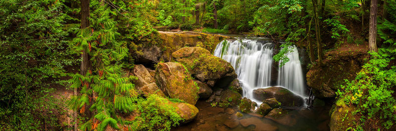 Waterfall in forest