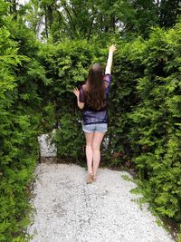 Rear view of teenage girl standing amidst plants