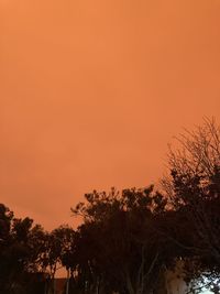 Low angle view of silhouette trees against romantic sky