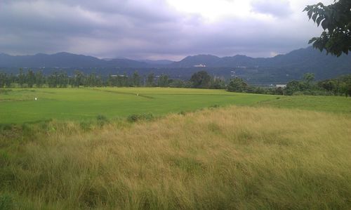 Scenic view of grassy field against cloudy sky