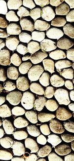 Full frame shot of logs