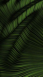 Full frame shot of palm leaf