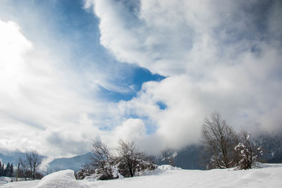 Snow covered land and trees against sky