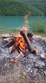 Wooden log in lake