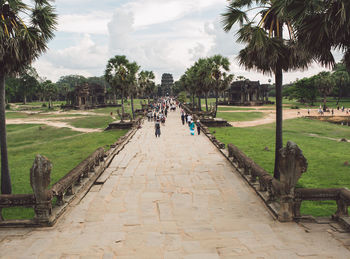 People on footpath by palm trees against sky