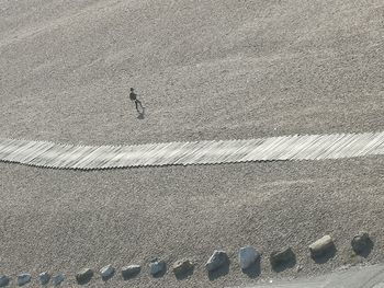 High angle view of person walking on road