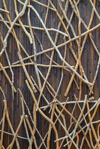 Full frame shot of dry plants