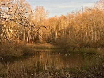 Scenic view of lake against sky