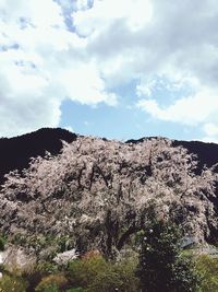 Low angle view of mountain against sky