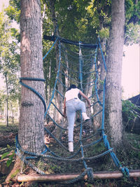 Rear view of man standing by trees in forest