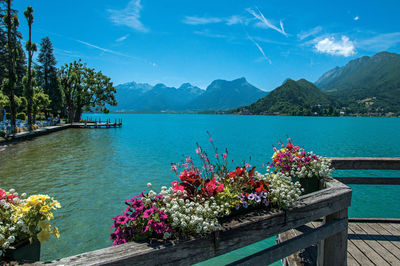Pier with flowers on the annecy lake at the village of talloires, france.