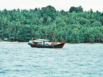 Boat in sea against trees