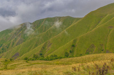 Scenic view of green landscape against sky