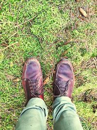 Low section of person standing on grassy field