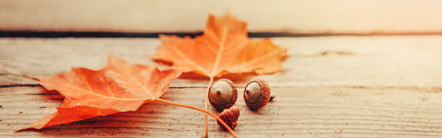 Close-up of autumn leaves on table