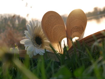 Heart shape book pages against sky during sunset