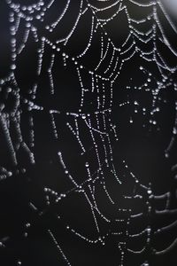 Full frame shot of wet spider web