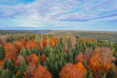 Scenic view of trees against sky during autumn