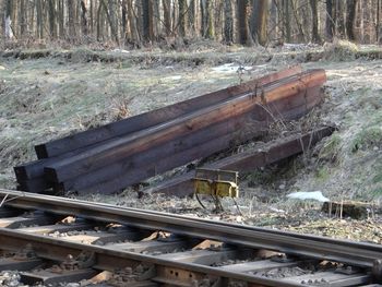 High angle view of railroad tracks amidst trees in forest