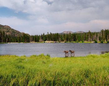 Scenic view of lake against sky