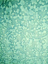 Full frame shot of tiled floor