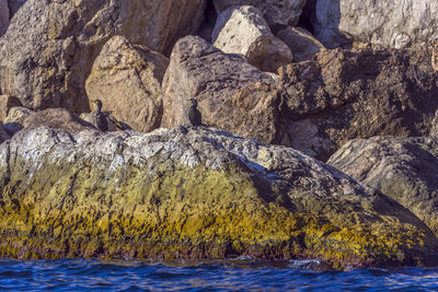 Scenic view of rock formation in sea