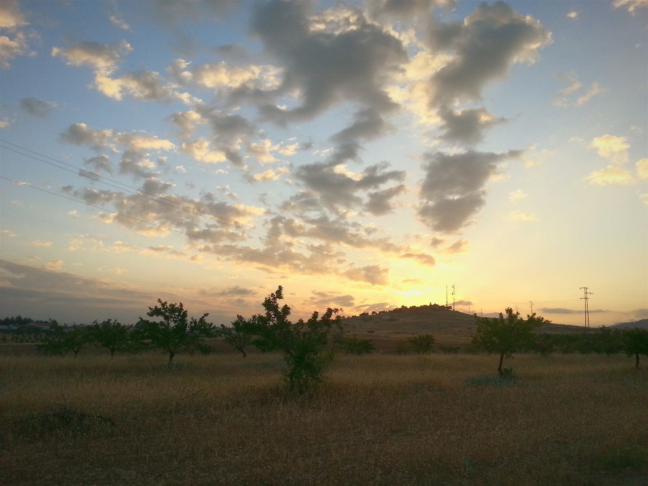 sunset, sky, landscape, tranquil scene, tranquility, field, scenics, cloud - sky, beauty in nature, nature, cloudy, rural scene, growth, cloud, idyllic, silhouette, grass, non-urban scene, tree, plant