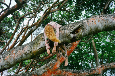 Low angle view of bird perching on tree