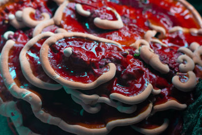 Red fungi on a tree