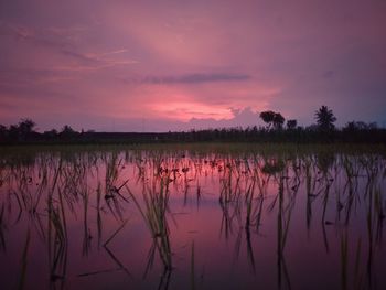 Scenic view of lake against sky during sunset