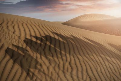 Shadow of camels on sand dune in desert against sky