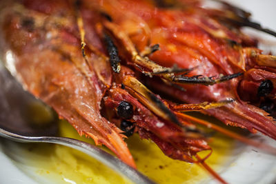 Close-up of seafood in plate